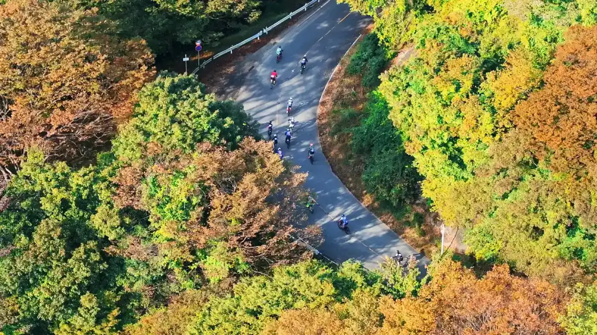 紅葉の碓氷峠を空撮